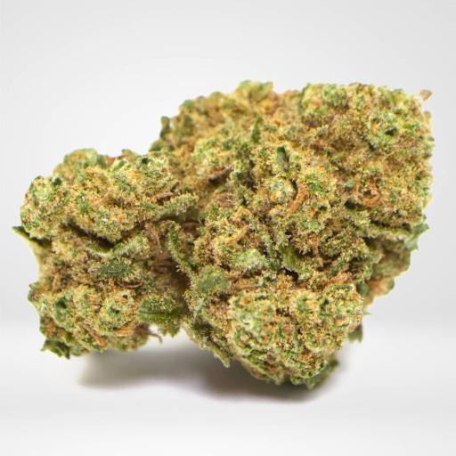 Amnesia Haze – THC: 19%